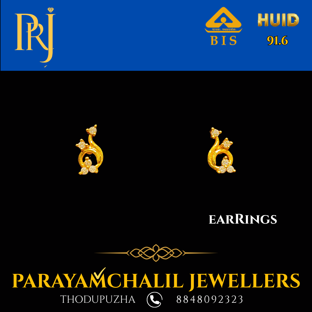 Earrings PRJ-DS27
