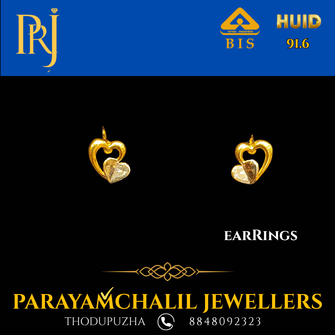 Earrings PRJ-DS29