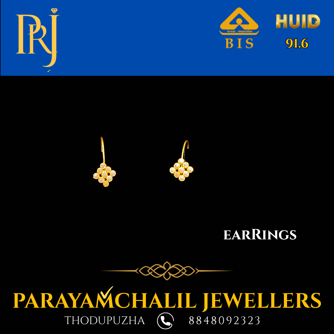 Earrings PRJ-DS43
