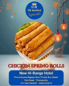 New Hi-Range Special Chicken Spring Rolls