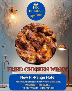 New Hi-Range Specials Fried Chicken wings